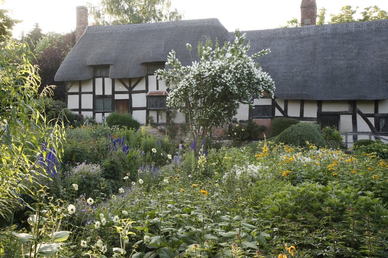 Traditional cottage garden shrbs and flowers -- largely white -- including one central tall flowering shrub, with the timber-framed thatched Cottage in the background..e