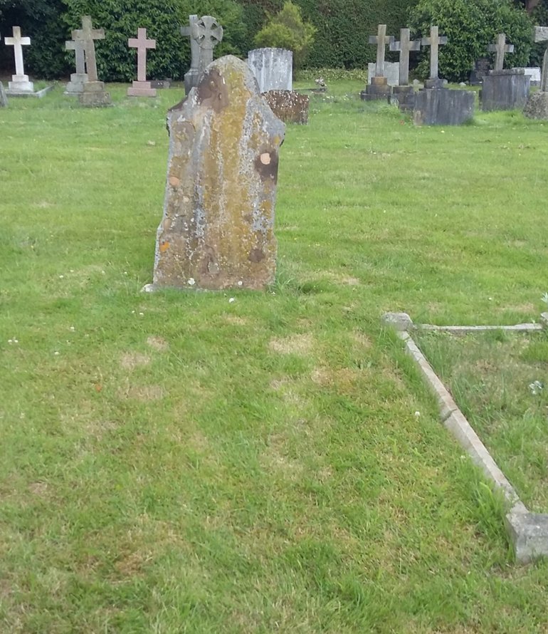 Remains Lucy Freeman's grave