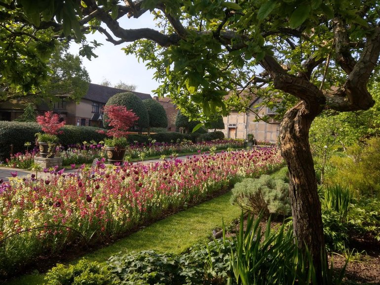 Birthplace spring beds