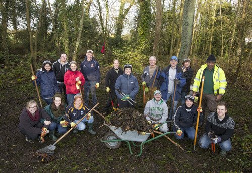 Corporate Volunteers