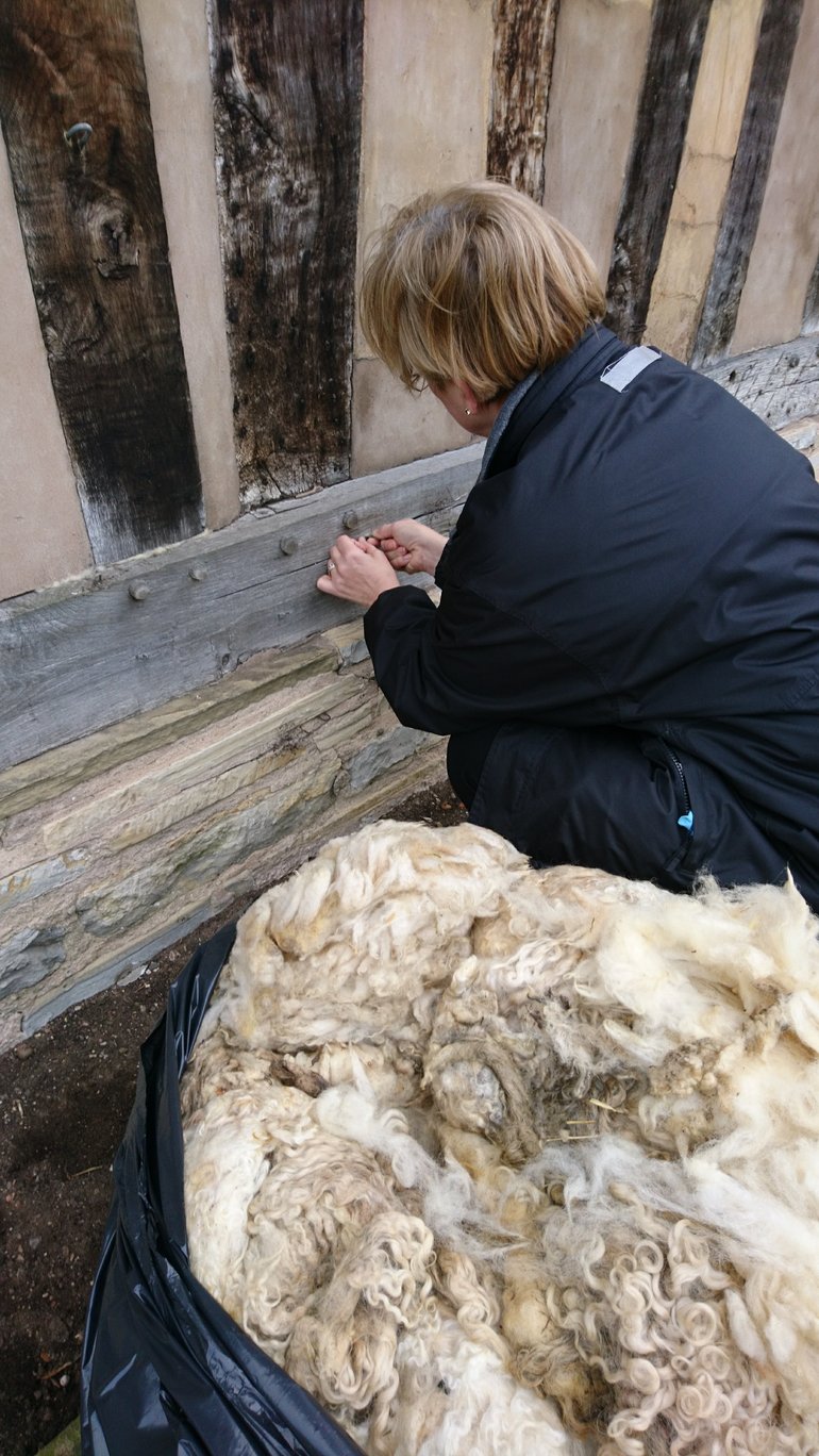 Hall's Croft Conservation 2