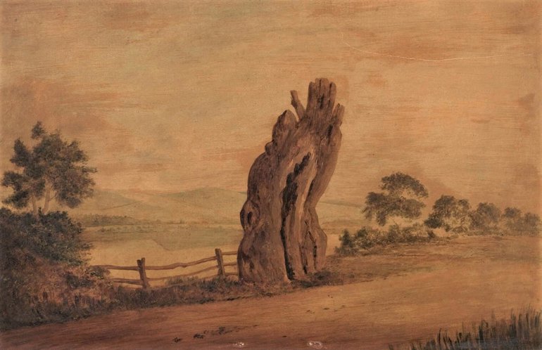 A painting of the remains of Shakespeare's Crabtree. The yellowing painting shows the base of the trunk in the middle of a country footpath, with rolling green hills behind.