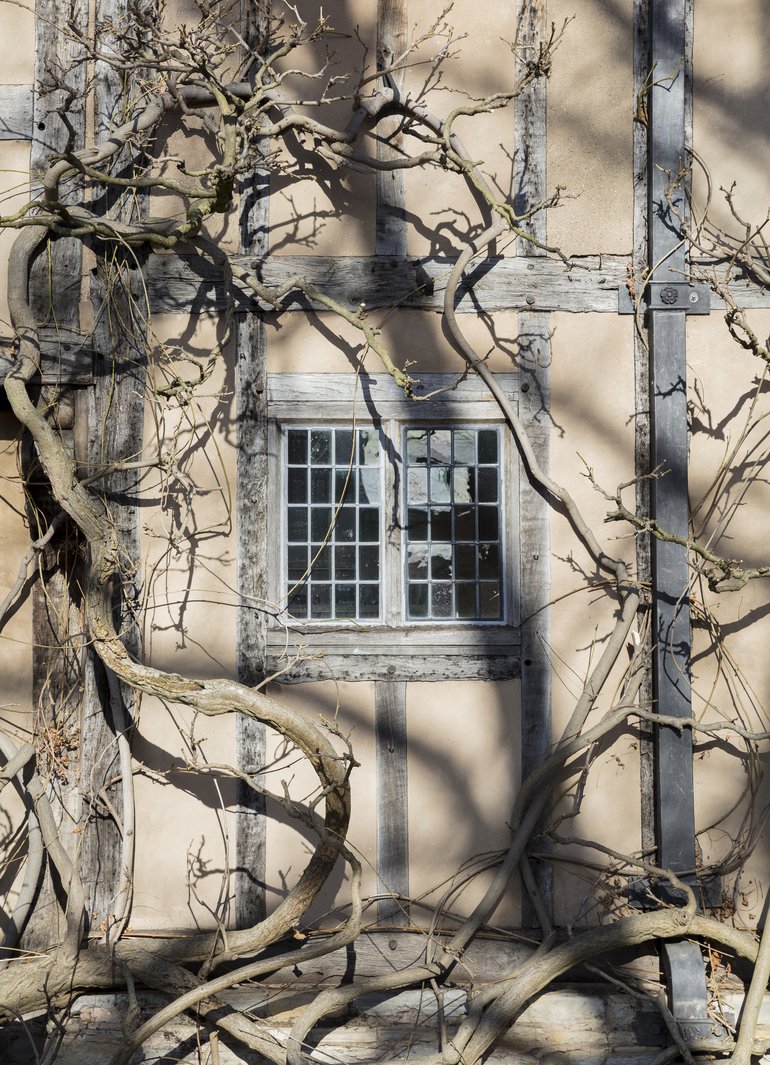 Little Cures Hall's Croft 2