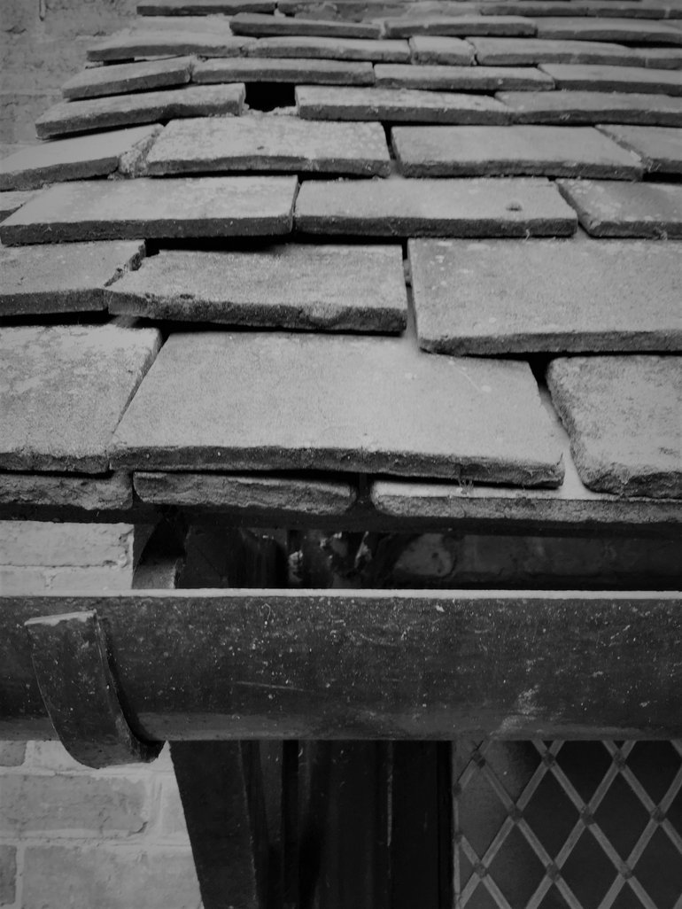 Mencap photo AHC 6 building