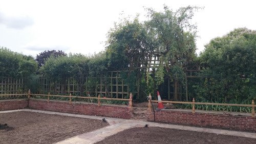 Knot Garden Restoration. The picture shows part of two rectangular unplanted beds with paths around them, and the low wall of the garden topped by open wooden fencing, with the opening leading to the central path. There are trees in the background.