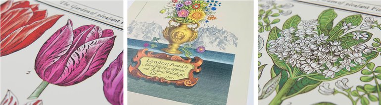 Motley Blog 3a Montage.jpg