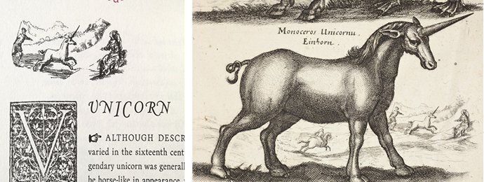 Motley Blog Montage 3.jpg