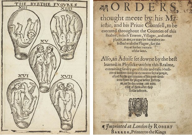 Motley Blog Montage 4.jpg