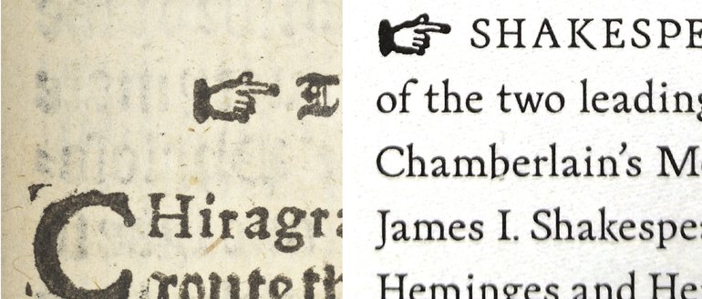 Motley Point Finger.jpg