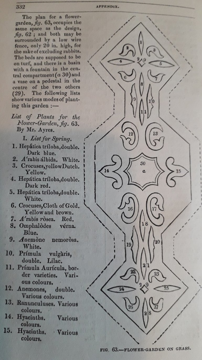 A carpet bed design in Mrs Loudon’s book, 1841