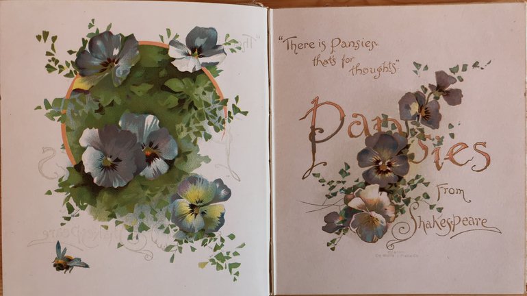 Pansies from Shakespeare title page.jpg