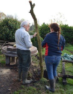 Rebuilding Bread Oven at MAF