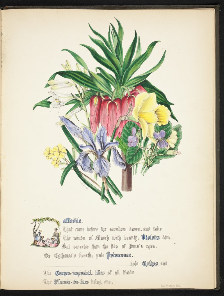 sbt-os-56-83039953-flowers-of-shakespeare-1845-plate-16.jpg