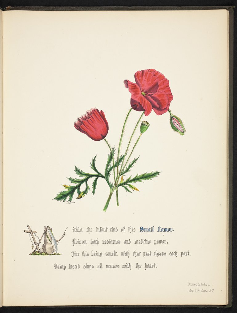sbt-os-56-83039953-flowers-of-shakespeare-1845-plate-22.jpg