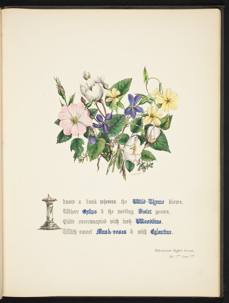 sbt-os-56-83039953-flowers-of-shakespeare-1845-plate-10.jpg