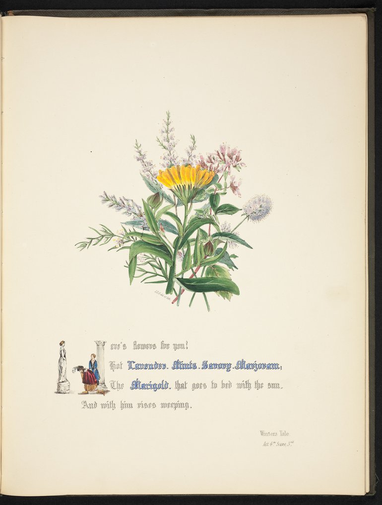 sbt-os-56-83039953-flowers-of-shakespeare-1845-plate-15.jpg