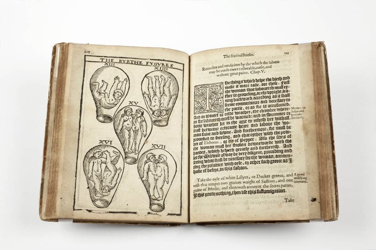 The birth of mankind