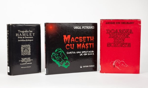 Romanian translations group photo