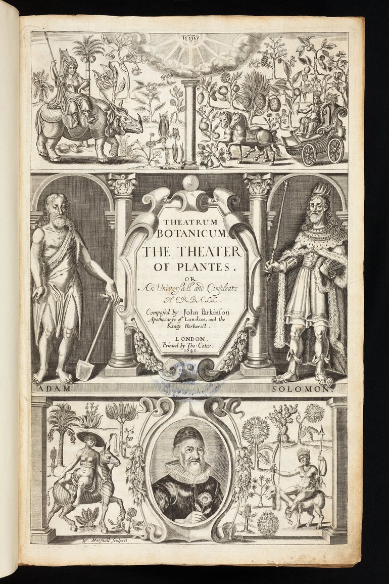 Theatrum Botanicum: The Theater of Plants