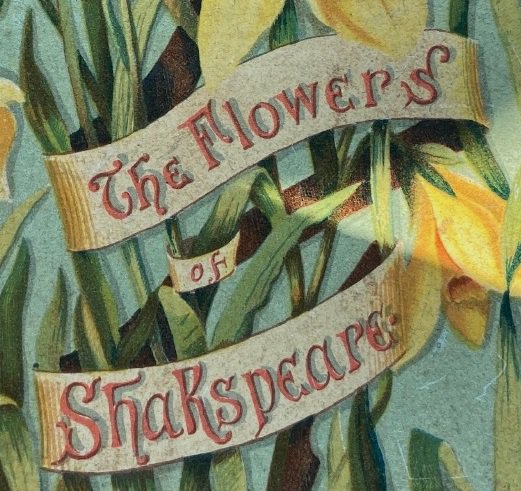 Flowers of Shakespeare King Richard VIOLA_pagejpegROSES.jpg