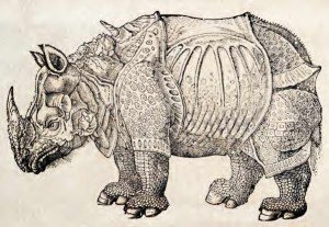 Rhinoceros with hard plates that cover his body like sheets of patterned armour and a solid-looking breastplate.