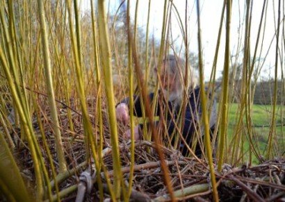 Willow Weaving at Mary Arden's Farm
