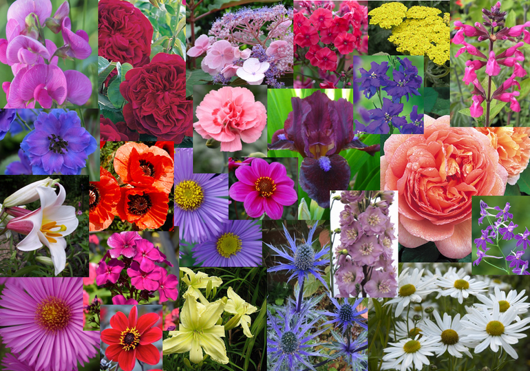 Birthplace Garden mood board